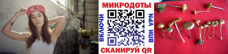 наркота  Ак-Довурак  Псилоцибиновые грибы прущие грибы 
